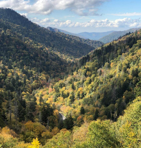 All You Should Know About The Great Smokies National Park