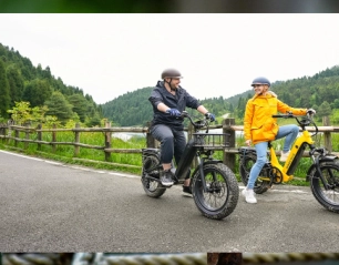 Ditch the Gas, Embrace the Charge: Life with a Magicycle E-Bike