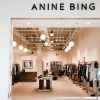 Chic and Confident: Elevate Your Style with Anine Bing