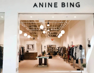 Chic and Confident: Elevate Your Style with Anine Bing