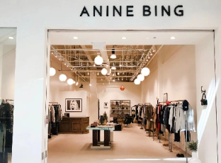 Chic and Confident: Elevate Your Style with Anine Bing