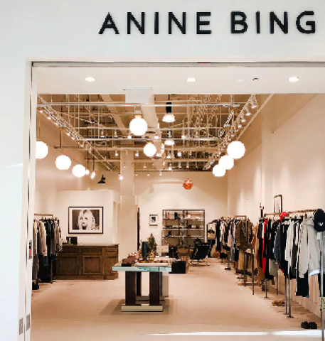 Chic and Confident: Elevate Your Style with Anine Bing