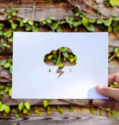 How to Reduce Your Carbon Footprint: Simple Tips for Sustainable Living