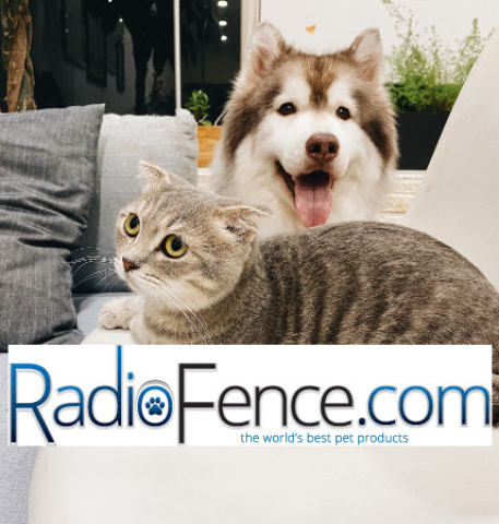 Train Your Pet the Smart Way: Radio Fence Have Innovative Training Solutions