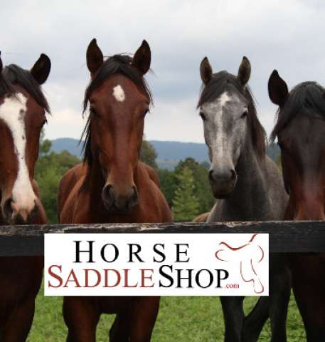 Ride in Style: The Best Saddle Brands at Horse Saddle Shop