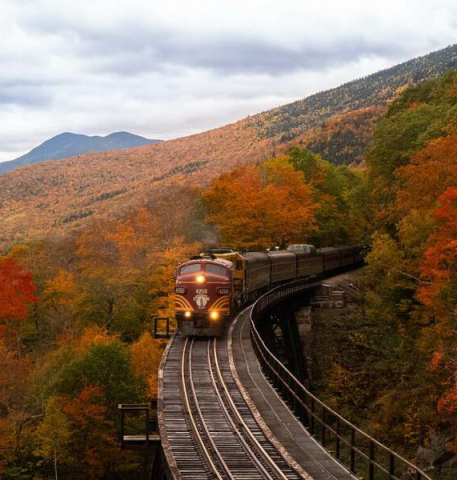 The NYC To New Orleans Train Trip Is One Of The Best-kept Secrets In American Travel