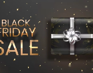 Shopping Royale: Top 5 Brands Dominating Black Friday Sales