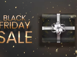 Shopping Royale: Top 5 Brands Dominating Black Friday Sales