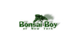 Bonsai Boy of New York